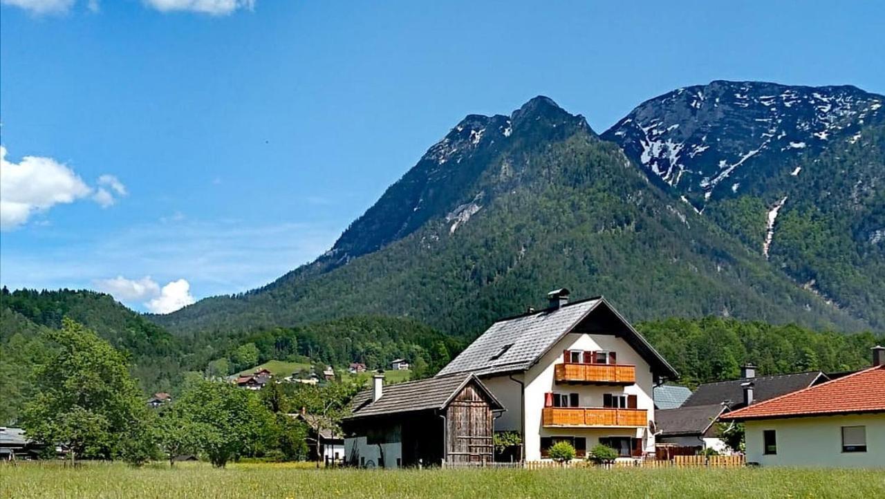 Apartment Haus Moni *